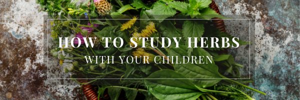How to Study Herbs with Your Children