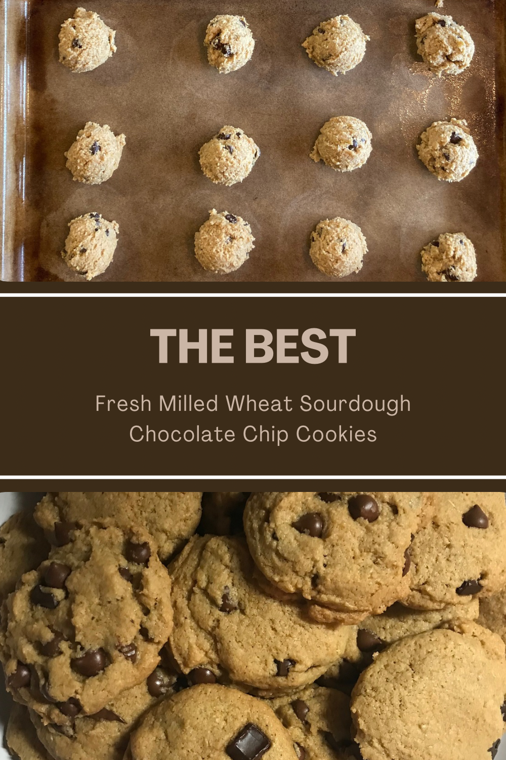 THE BEST Fresh Milled Wheat Sourdough Chocolate Chip Cookies 